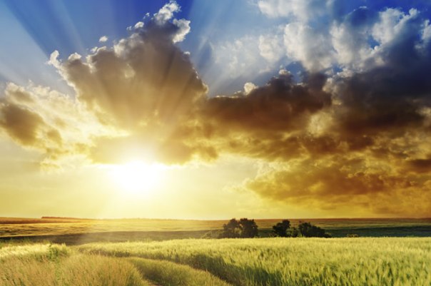 amabilis choir concert of heaven and earth