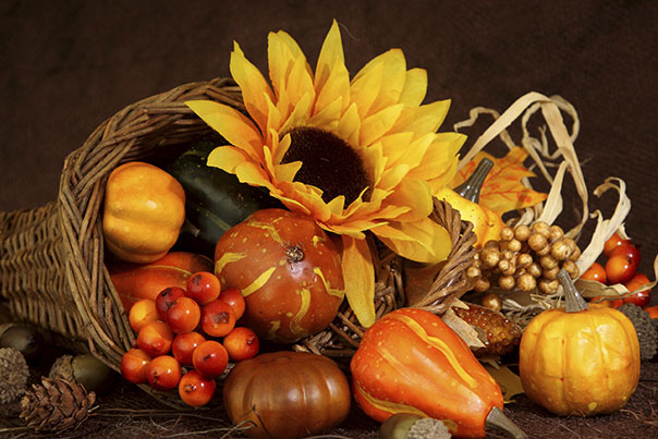image of thanksgiving cornucopia with sunflower, gourds and cranberries
